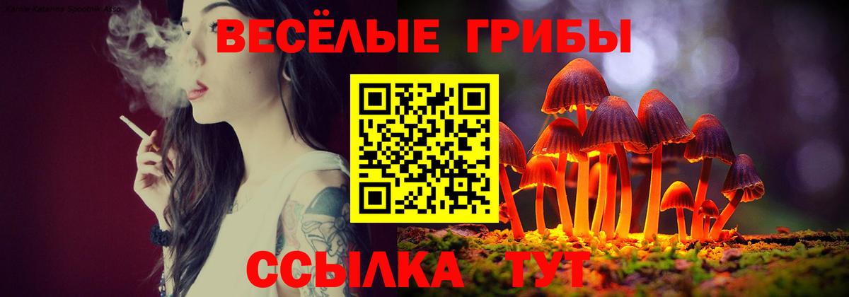 Галлюциногенные грибы мицелий  Псилоцибиновые грибы прущие грибы  Щёкино  Вход с VPN 